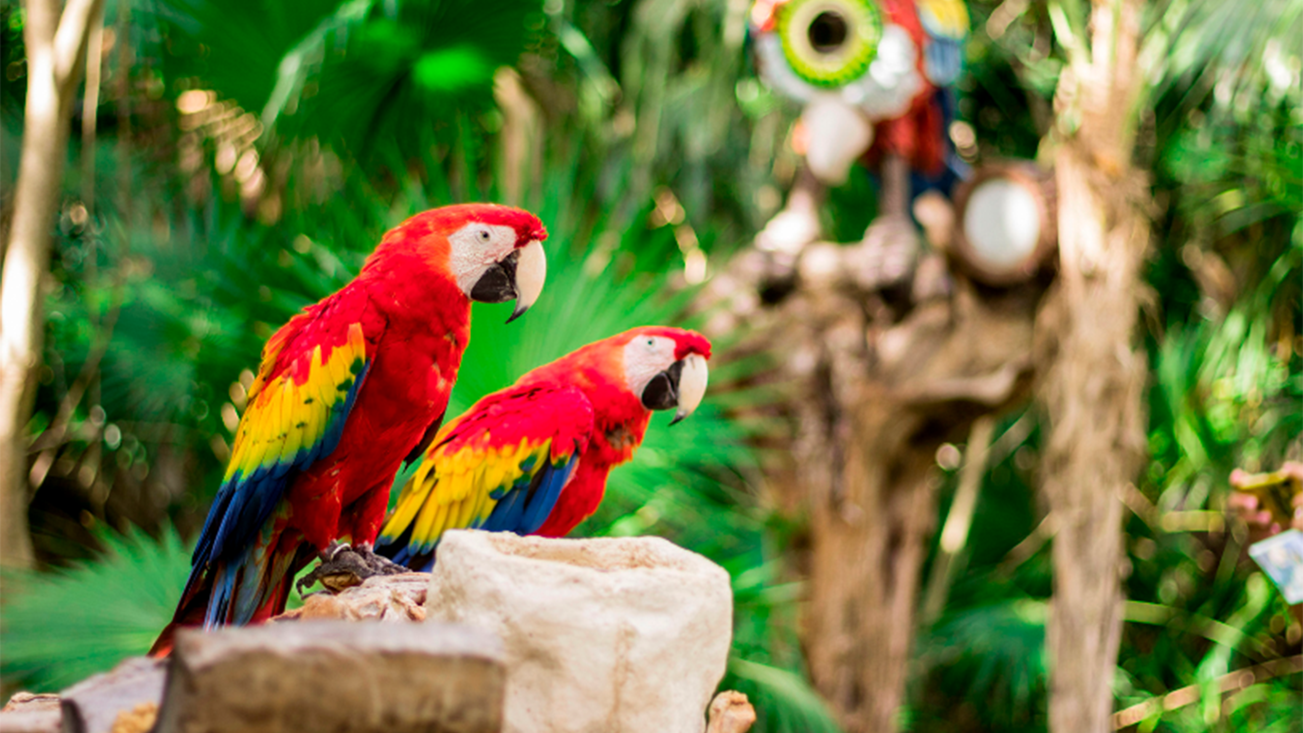Naturaleza y paisajes del parque Xcaret en Riviera Maya