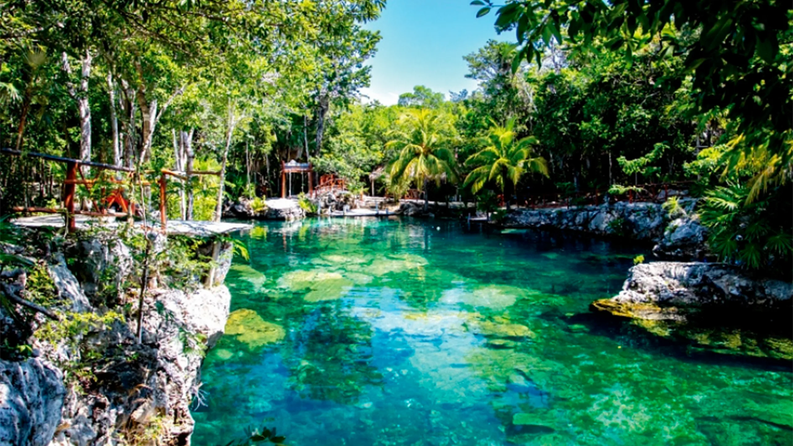 Cenote de aguas cristalinas en Yucatán