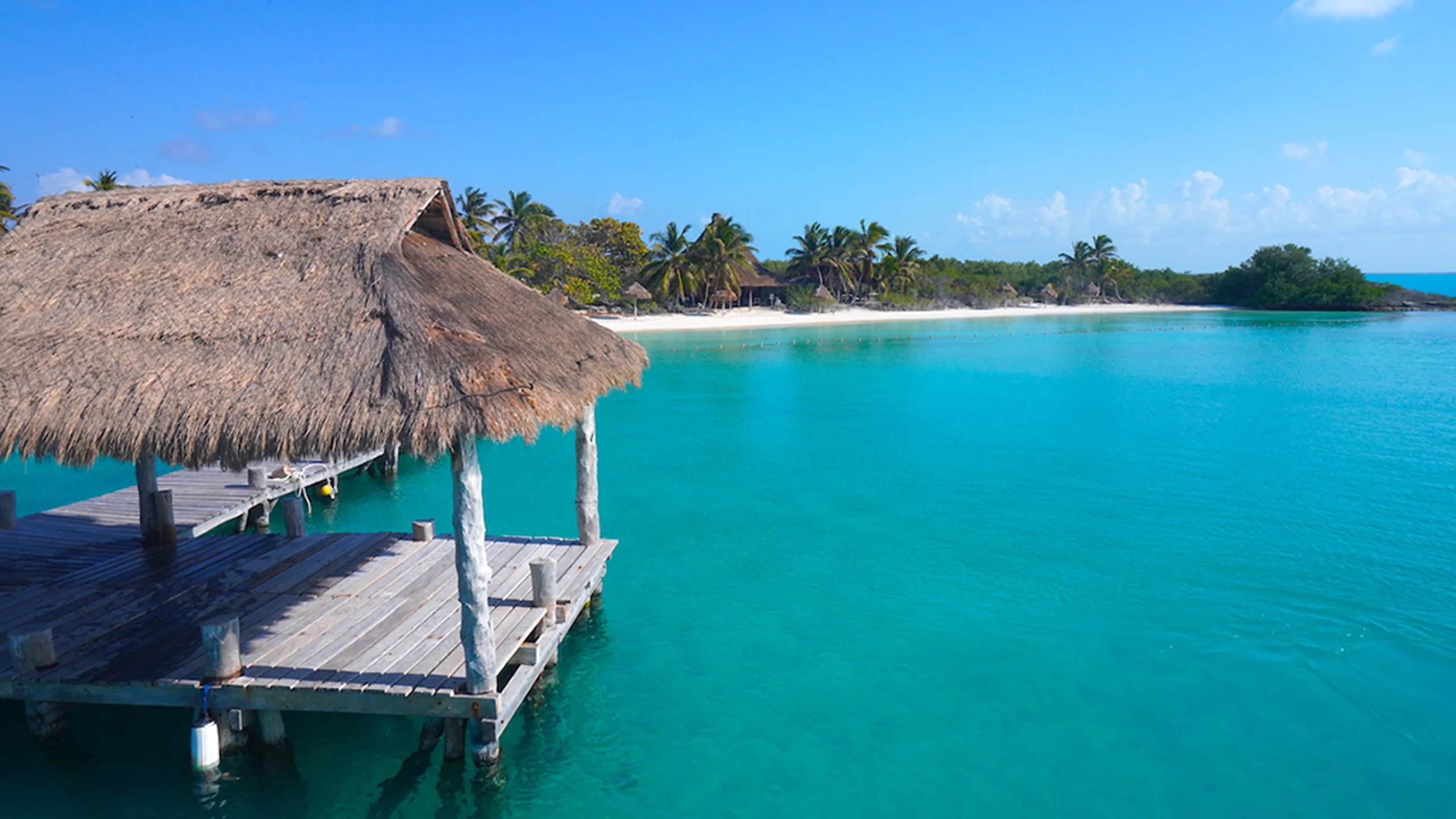 Experiencia natural durante el tour a Isla Contoy